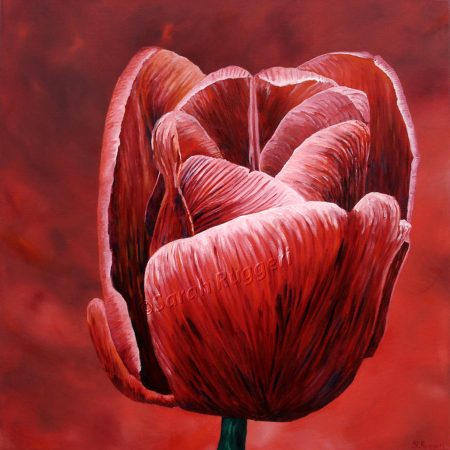 painting called red tulip on red background
